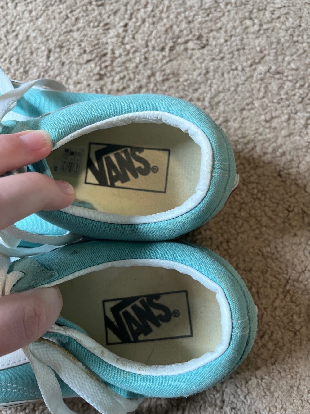 Vans Aqua Suede Low-Top Sneakers with White Stripe
